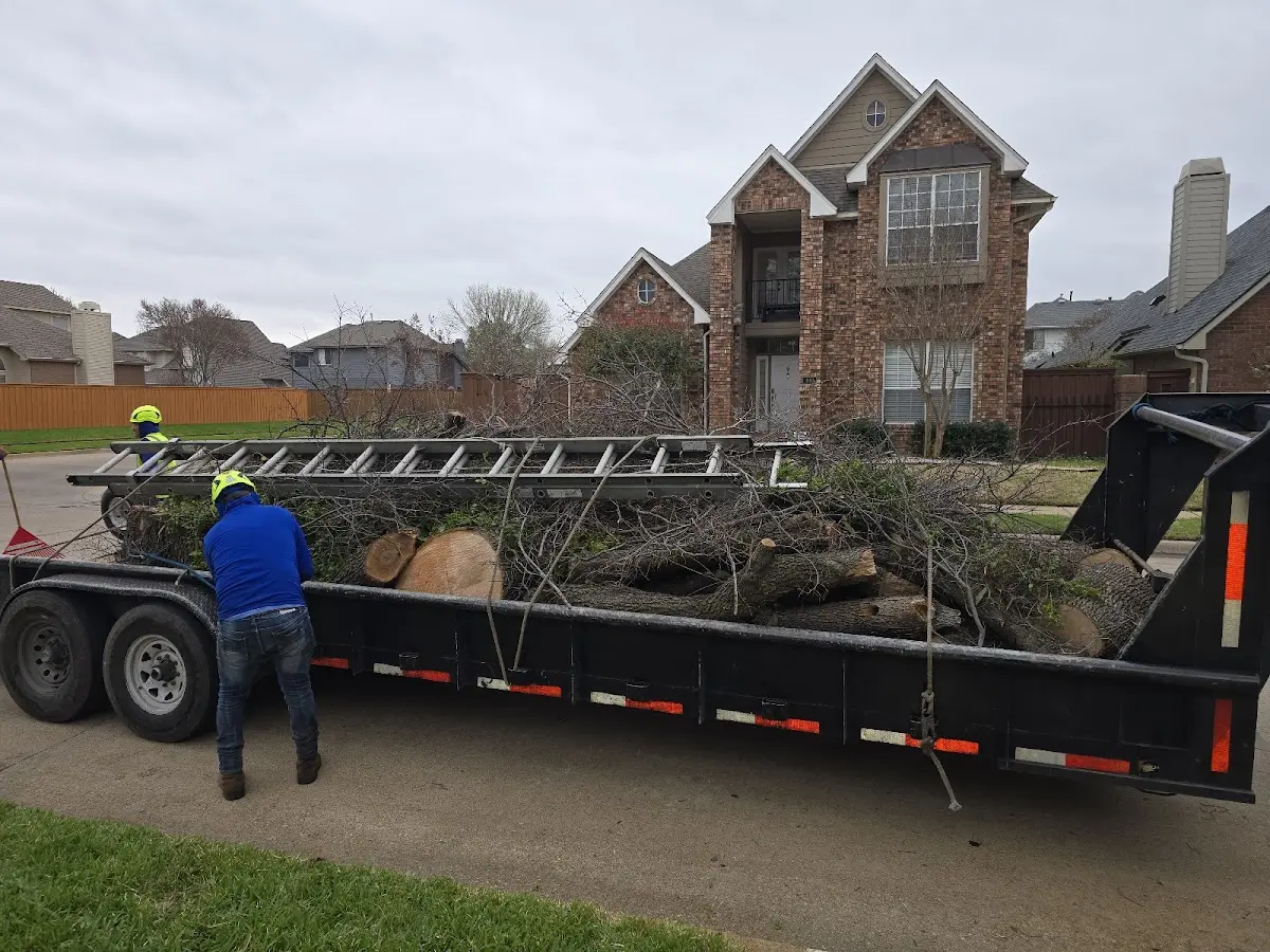 Expert Tree Fertilization with proper safety equipment in Larrabee